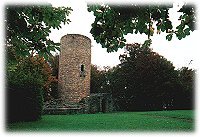 Burgruine Stolzenberg in Bad Soden